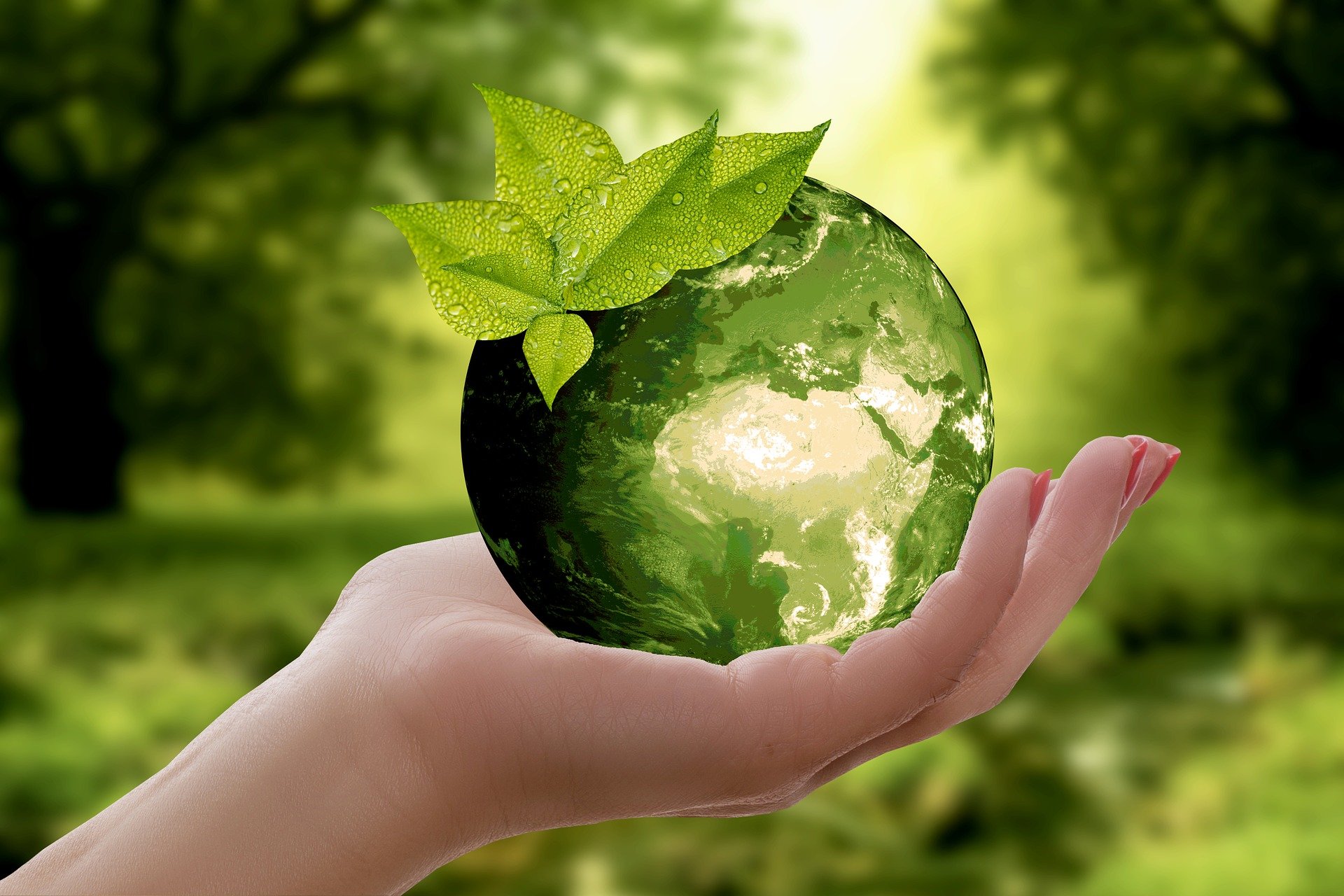 22 kwietnia obchodzony jest Międzynarodowy Dzień Ziemii